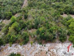 #T-356 - Terreno para Venda em Tibau do Sul - RN