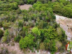 #T-356 - Terreno para Venda em Tibau do Sul - RN