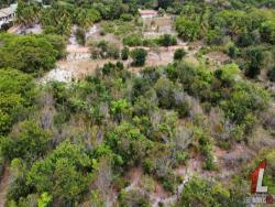 Terreno para Venda em Tibau do Sul - 4
