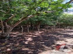 #T-400 - Terreno para Venda em Tibau do Sul - RN