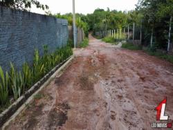 Terreno para Venda em Tibau do Sul - 4