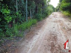 Terreno para Venda em Tibau do Sul - 5