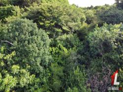 Terreno para Venda em Tibau do Sul - 4