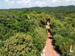 #T-416 - Terreno para Venda em Tibau do Sul - RN