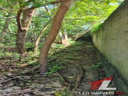 Terreno para Venda em Tibau do Sul - 4