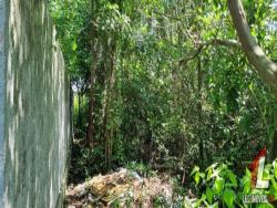 Terreno para Venda em Tibau do Sul - 5