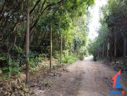 Terreno para Venda em Tibau do Sul - 4