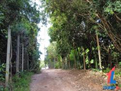 Terreno para Venda em Tibau do Sul - 5