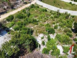 Terreno para Venda em Tibau do Sul - 4