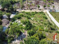 Terreno para Venda em Tibau do Sul - 5