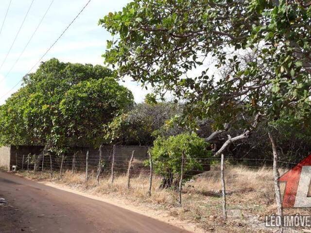 Terreno para Venda em Tibau do Sul - 4