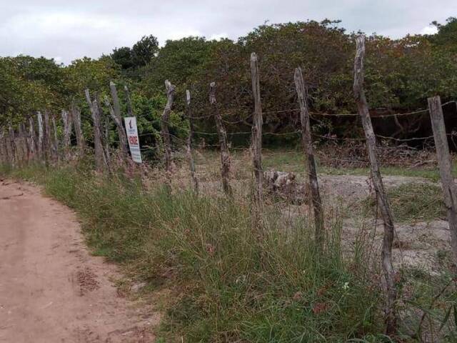 Terreno para Venda em Tibau do Sul - 5