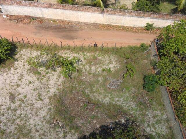 Terreno para Venda em Tibau do Sul - 2