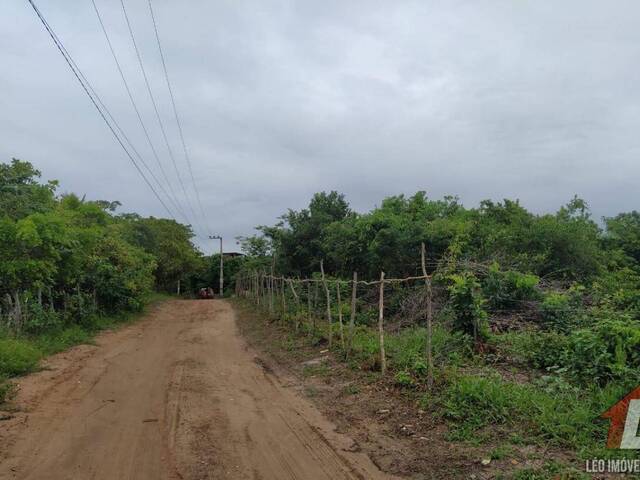 #T-012 - Terreno para Venda em Tibau do Sul - RN