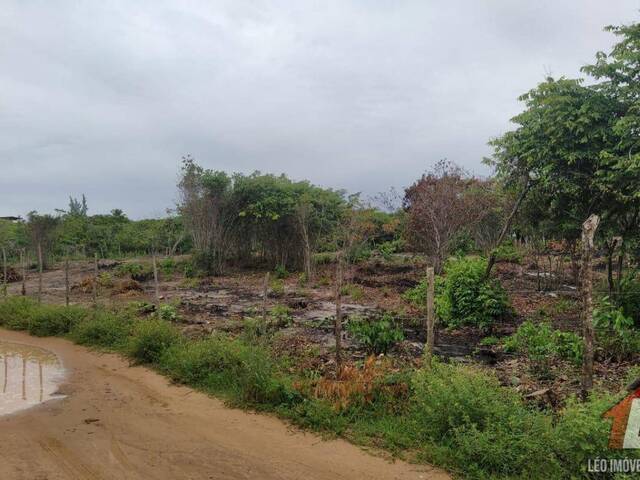 Terreno para Venda em Tibau do Sul - 4