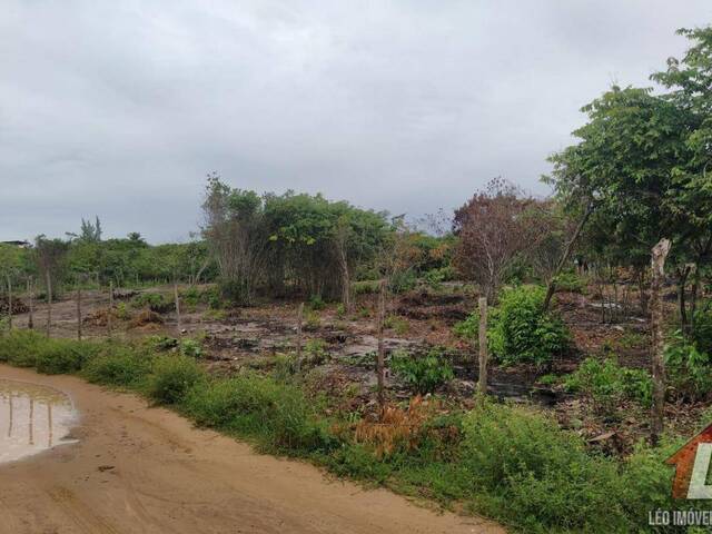 Terreno para Venda em Tibau do Sul - 5