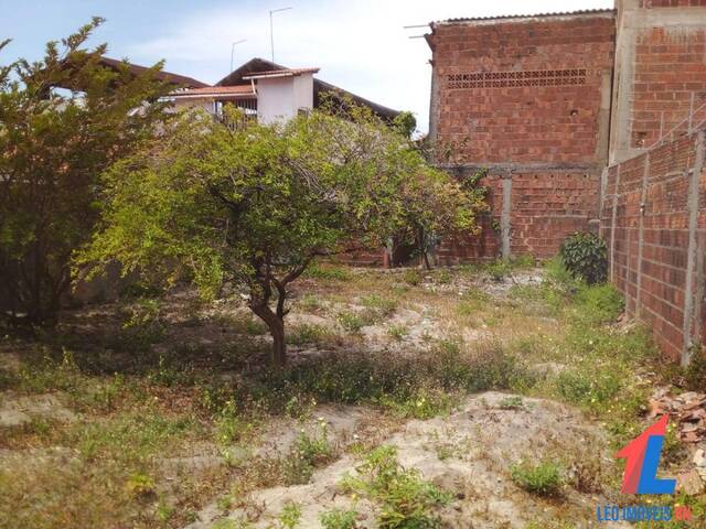 Casa para Venda em Tibau do Sul - 5