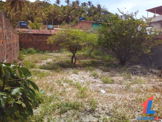 Casa para Venda em Tibau do Sul - 4