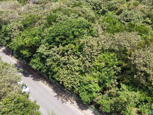 Terreno para Venda em Tibau do Sul - 4