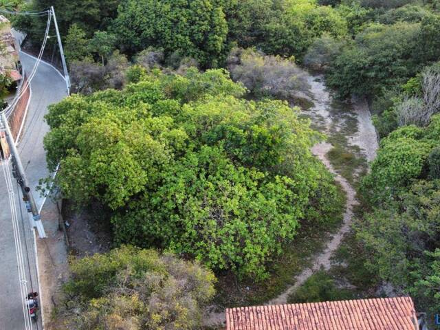 Terreno para Venda em Tibau do Sul - 5