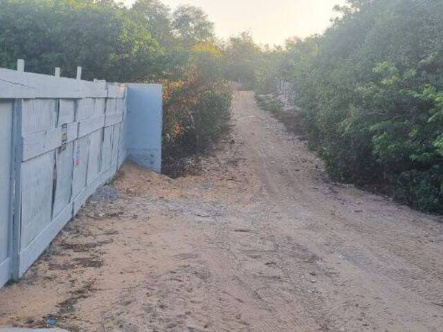 #T-098 - Terreno para Venda em Tibau do Sul - RN