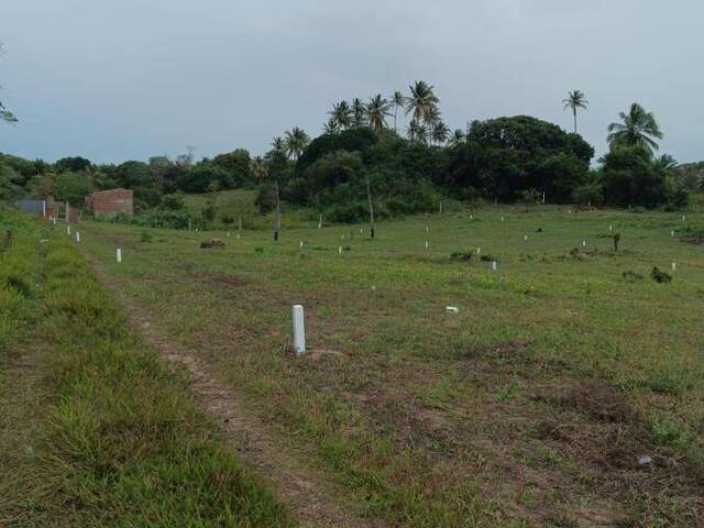 Terreno para Venda em Canguaretama - 4
