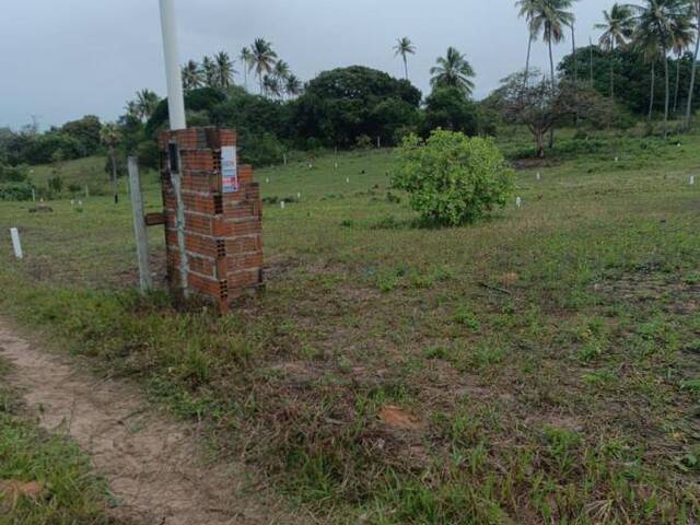 Terreno para Venda em Canguaretama - 5