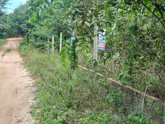 Terreno para Venda em Tibau do Sul - 4