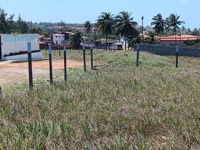 Terreno para Venda em Canguaretama - 4