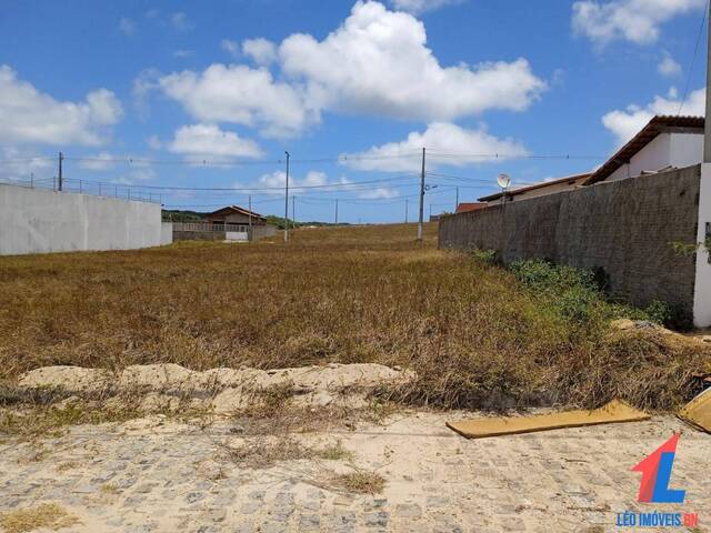 Terreno para Venda em Tibau do Sul - 5