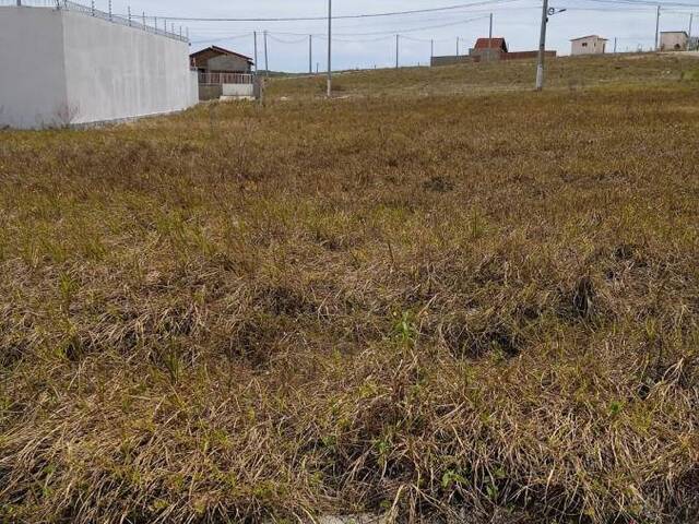 Terreno para Venda em Tibau do Sul - 4