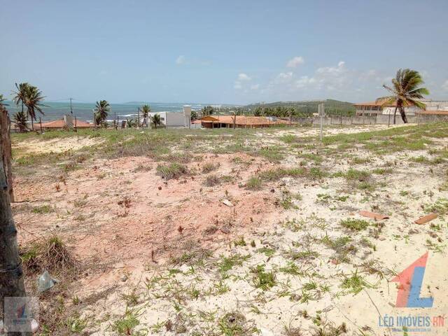 Terreno para Venda em Tibau do Sul - 5