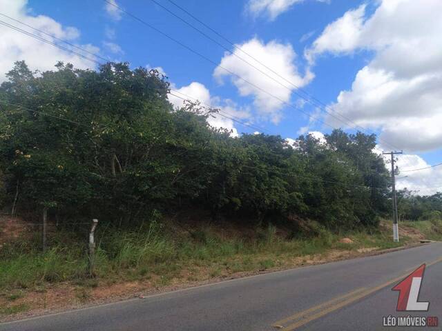 Terreno para Venda em Tibau do Sul - 4