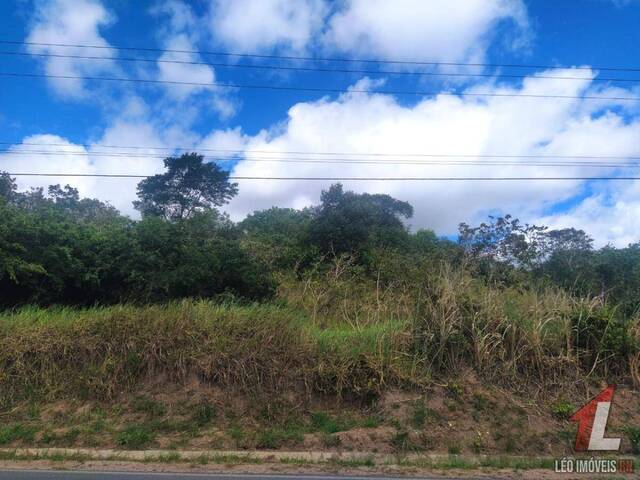 Terreno para Venda em Tibau do Sul - 5