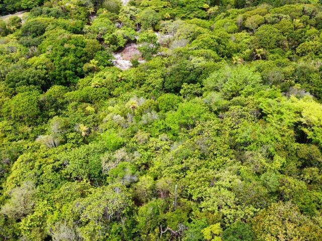 Terreno para Venda em Tibau do Sul - 4