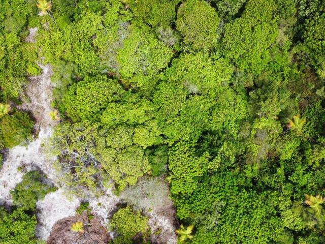 #T-001 - Terreno para Venda em Tibau do Sul - RN