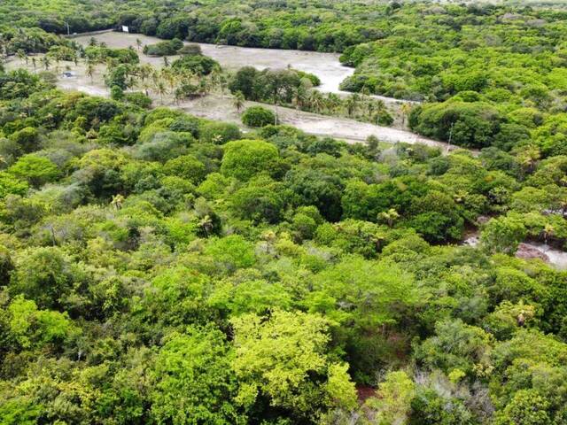 Terreno para Venda em Tibau do Sul - 5