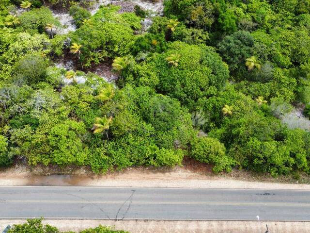 #T-001 - Terreno para Venda em Tibau do Sul - RN