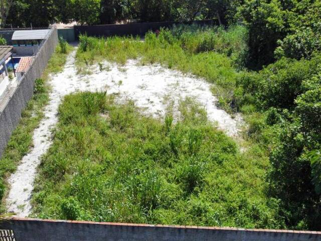 Terreno para Venda em Tibau do Sul - 4
