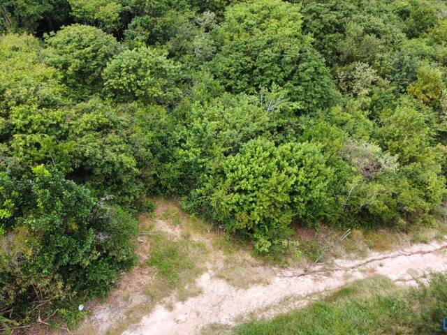 Terreno para Venda em Tibau do Sul - 4
