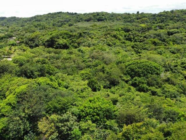#T-379 - Terreno para Venda em Tibau do Sul - RN