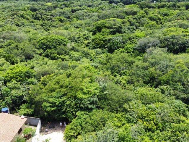 Terreno para Venda em Tibau do Sul - 5