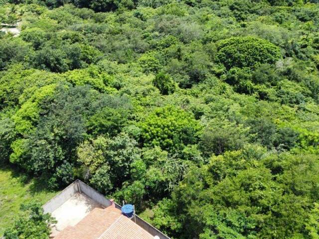 Terreno para Venda em Tibau do Sul - 4