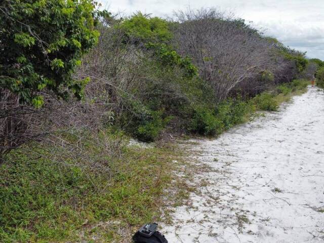 Terreno para Venda em Tibau do Sul - 4