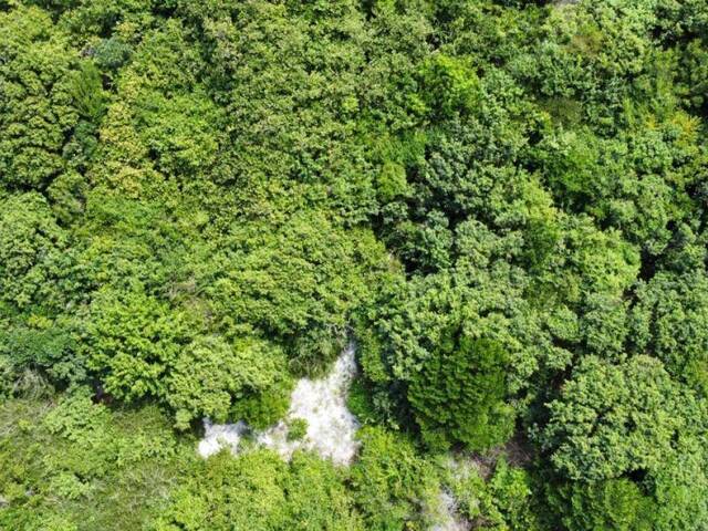 Terreno para Venda em Tibau do Sul - 5