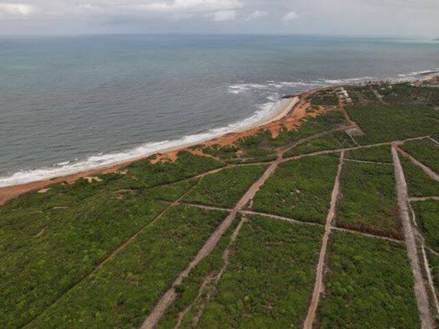 #T-427 - Terreno para Venda em Tibau do Sul - RN