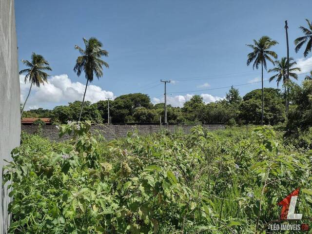 Terreno para Venda em Tibau do Sul - 5