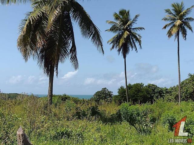 Terreno para Venda em Tibau do Sul - 4