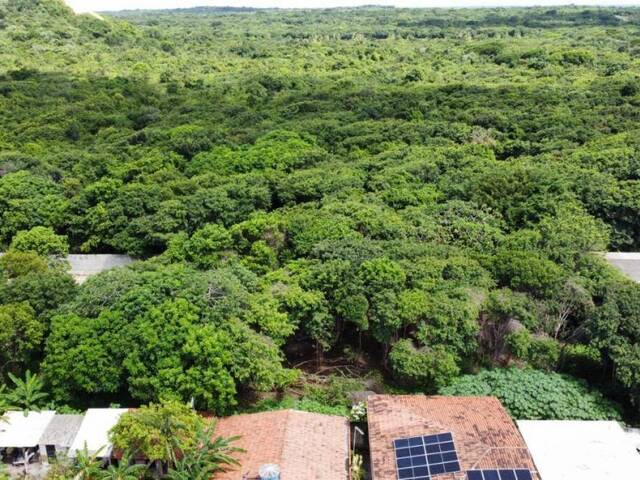 Terreno para Venda em Tibau do Sul - 5