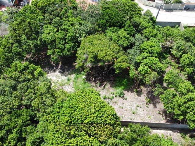 Terreno para Venda em Tibau do Sul - 4